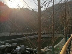 -白水寺森林公园