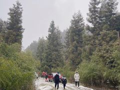 -武陵山森林公园