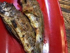 -柿子树炭烤羊腿(金台路店)