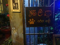 -猫色咖啡·猫咖