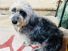 -老宅原住民沙茶面精品小吃(龙头路店)