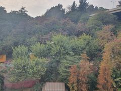 -白云山索道-售票处