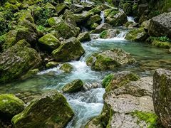 -青城山