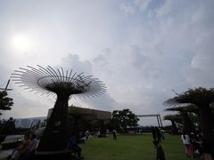 -新世界百货(明洞总店)