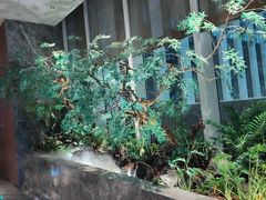 -海立阁海鲜江浙菜(漕河泾印象城店)