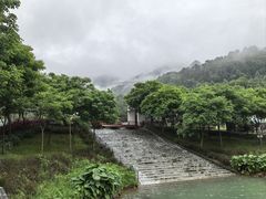 -南丹山森林王国