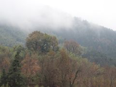 -塔川景区