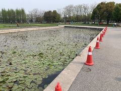 -尚贤河湿地