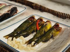 野生杂鱼-東大方(湖州白鹭迎店)