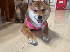 -蓉城西二道无名冒菜(西二道街店)