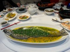 鸡汁蒸大白水鱼-玫瑰厅上海菜(兴国路店)