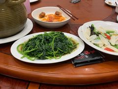 炒番薯苗-东馆和天下特色餐饮(工农店)