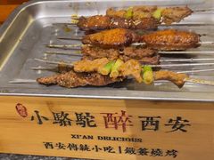 -福苗小骆驼烧烤(大唐不夜城店)