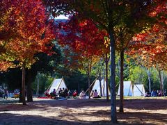 -北京西山国家森林公园