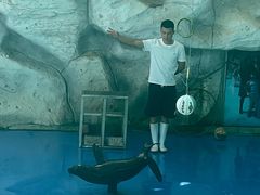 -泉州海丝野生动物世界