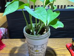 -学习谷日语培训日本留学·多语种外语教学(海淀人大分部)