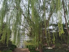 -元大都城垣遗址公园