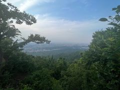 -紫金山山顶公园