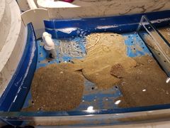 -澜悦港海鲜体验主题餐厅