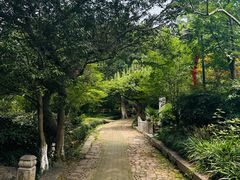 -雨花胜境
