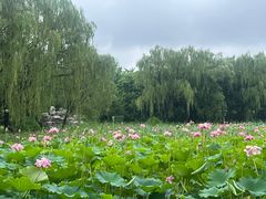-东升八家郊野公园