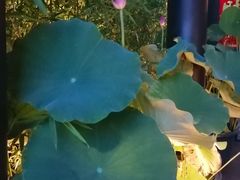 -蘇锦宴·淮扬菜烤鸭·小院(三元桥霄云路店)