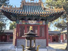 -药王庙(安国市)