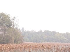 -白鹭湾湿地公园