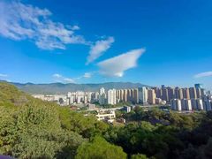 -金鸡山公园