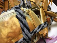 -乡乐园蟹庄·阳澄湖农家乐