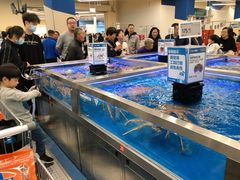 -盒马X会员店(上海森兰商都店)