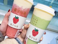 -叶子与茶(苏宁广场店)