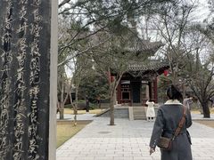 -碑林公园
