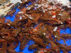 -宴立方海鲜自助(义乌万达广场店)