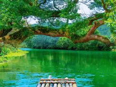 -婺源风景区