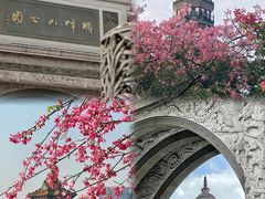 -顺峰山公园
