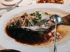 清蒸鲈鱼-眉州东坡(华联万柳店)