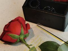 -海底捞火锅(长沙华创国际广场店)