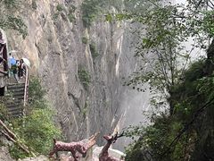-鹿院坪生态旅游景区