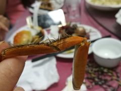 -乡乐园蟹庄·阳澄湖农家乐