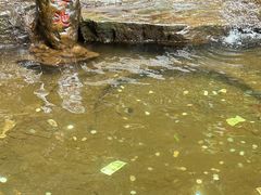 -龙老五汤店(站前西路店)