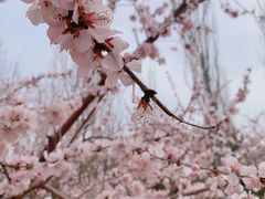 -城墙带状公园-大同古城墙广场停车场