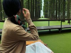 -渌洋湖湿地公园