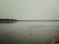 -东湖落雁景区