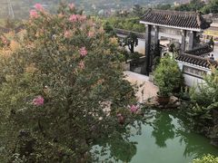 -老幺泉水鸡