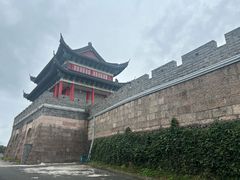 -黄贤森林公园