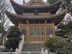 -上海东林寺(金山区)