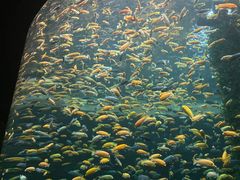 -上海海洋水族馆