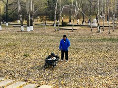 -长春世界雕塑园冰雪艺术天地