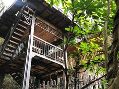 -天门沟九州驿站树上汤泉